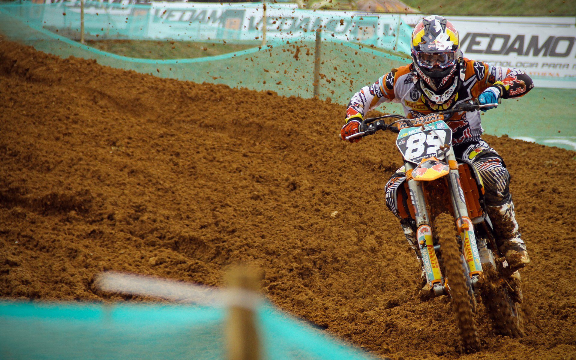 开拓者队新人表现持续走高，开拓者队怎么样